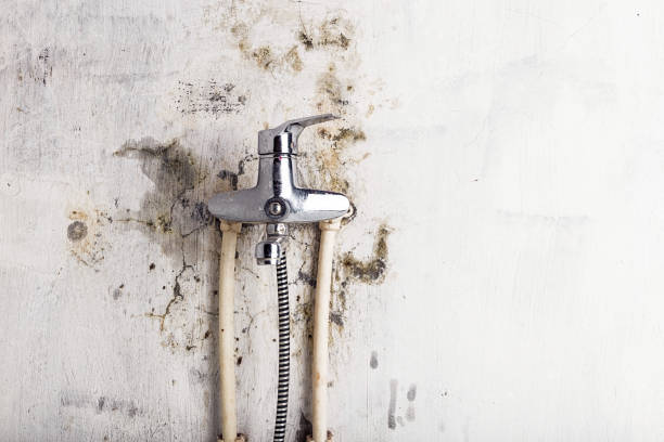 Best HVAC Mold Remediation in Melvindale, MI