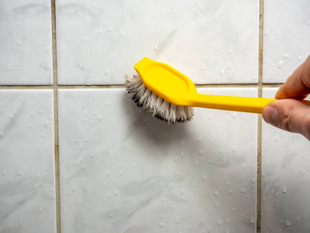 Best Preventive Mold Services in Melvindale, MI