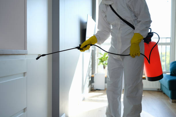 Best HVAC Mold Remediation in Melvindale, MI