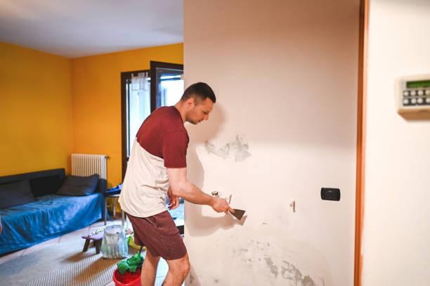 Best Bathroom Mold Remediation in Melvindale, MI