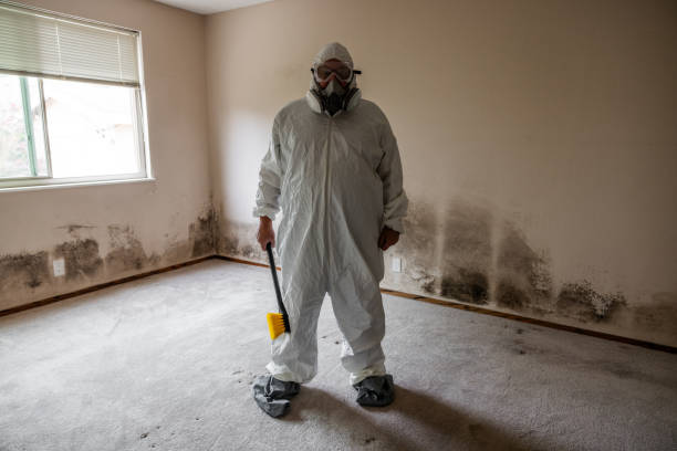 Best Mold Remediation for Specific Building Types in Melvindale, MI